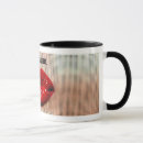 Recherche de sensuel tasses Bouche