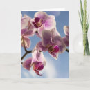 Zoek naar roze orchidee kaarten Flora