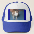 Recherche de rattie casquettes Animaux