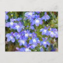 Recherche de myosotis de cartes postales Nature