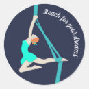 Recherche de acrobate autocollants Aérien