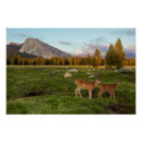 Recherche de prés posters Montagne