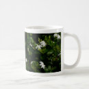 Recherche de jasmine tasses Nature