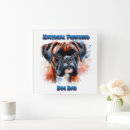 Zoek naar boxer klokken Gezelschapsdieren