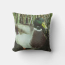 Zoek naar male kussens Vogel