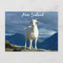 Recherche de queenstown cartes postales Montagnes