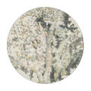Recherche de antiquité maison deco Mer