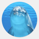 Recherche de dauphin heureux autocollants Mer