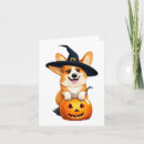 Zoek naar corgi kaarten Oranje