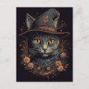 Recherche de rétro halloween cartes postales Sorcière
