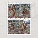 Recherche de baskets cartes postales Pour lui