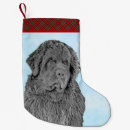 Recherche de terre neuve chaussette de noël Chiot