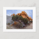 Recherche de raide cartes postales Pour tous