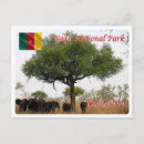 Recherche de le cameroun cartes postales Voyage