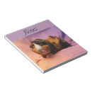 Zoek naar varken notitieblokken Cavia