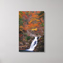 Zoek naar waterval kunst Groen