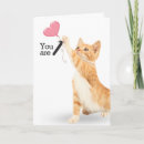 Recherche de chaton drôle vœux cartes Animal de compagnie