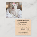 Recherche de chien westie cartes visite Chiens