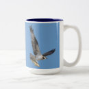 Recherche de photography tasses Balbuzard pêcheur