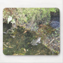 Zoek naar kikkers muismatten Water