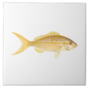 Recherche de récif carreaux Nautique