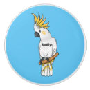 Recherche de nouvelle maison boutons et poignées de porte Oiseau