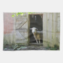 Zoek naar schapen keuken handdoeken Land