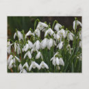 Recherche de chute neige cartes postales Nature