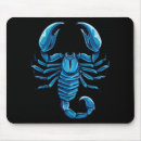 Recherche de scorpions tapis souris Arachnide