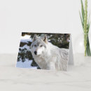Recherche de loup blanc vœux cartes Animal