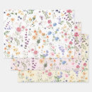 Recherche de rococo papier cadeau Prairie de fleurs sauvages