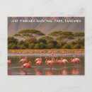 Recherche de lac rose cartes postales Travel