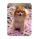 Recherche de jouet magnets Fleurs