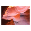 Recherche de antilopes Paysage