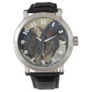 Recherche de avec cheval montres Chevaux