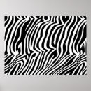 Recherche de peau de zèbre posters Animal