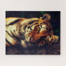 Zoek naar bedreigde dieren puzzels Foto