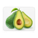 Recherche de avocats magnets Frais