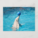 Recherche de dauphin cartes postales Bleu
