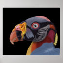Recherche de grands yeux posters Illustration