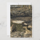 Recherche de souches cartes postales Paysage