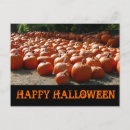 Recherche de citrouille halloween cartes postales Octobre