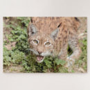 Zoek naar kawaii puzzels Dieren