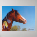 Recherche de paint horse posters Équine