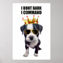 Zoek naar ironie posters Humor