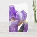 Recherche de salutation pourpre de fleur vœux cartes Printemps