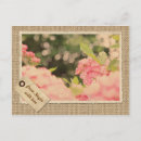 Recherche de bokeh cartes postales Rose