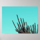 Zoek naar groen plant posters Cactus