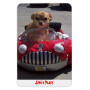 Zoek naar facebook magneten Hond