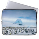Recherche de iceberg coques Glacier